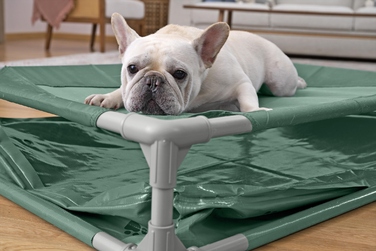 Басейн-лежак 2в1 для тварин Bestway 561RG (102x74x20 см)