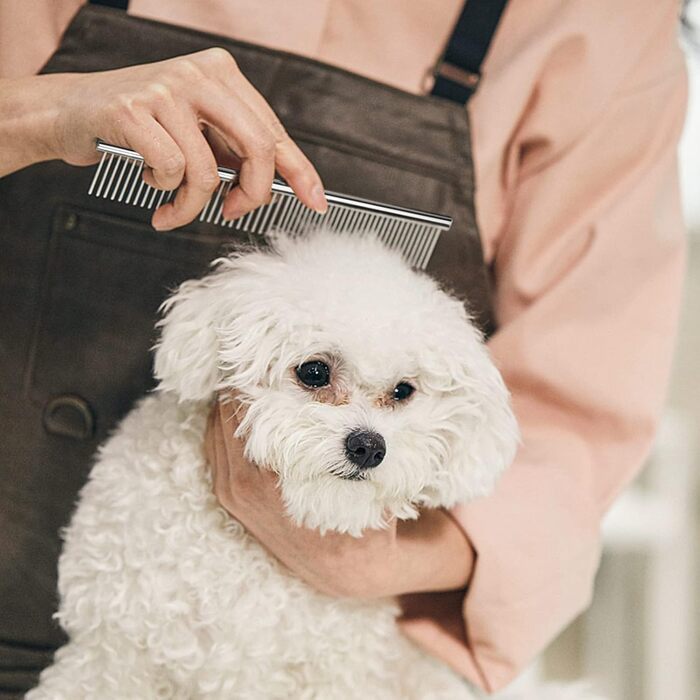 Двостороння щітка для грумінгу собак та котів з дерева, піни та щетини, для короткої та довгої шерсті (великий)