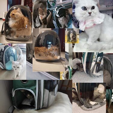 Прозорий рюкзак-переноска для котів і собак KatzenRucksack, космічна капсула, авіа-дозволена, для подорожей, транспортування тварин, бульбашковий дизайн