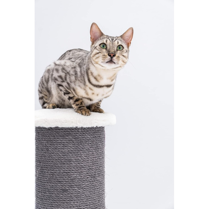 Дряпак для великих котів Petrebels Savannah XXL 86 см, висока якість, товста стовп-колона Ø20 см, оф-вайт