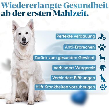 Миска для собак великих порід, Slow Feeder, антишвидке поглинання, для здорового харчування, проти блювоти, нековзна, блакитна