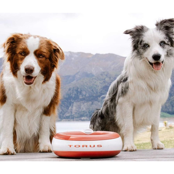 Автоматична поїлка Torus Pet Maxi 2 л, червона, для собак і котів, з фільтрацією, антибактеріальна, без BPA, для дому та подорожей