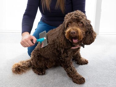 Щітка для собак Mastercip, велика порода, розмір Medium