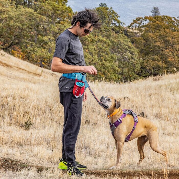 Сумка для тренування собак Kurgo Keksbeutel, червона, з кліпсою та карабіном