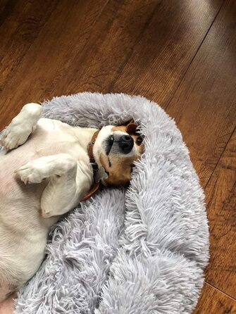 М'яке ліжко для домашніх тварин Deluxe: тепле, зручне ліжко-софа для собак та котів, 70 см, світло-сірий колір. Легко миється.