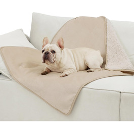 Водонепроникний коврик для собак середнього розміру 80x100 см, миючий, м'який, кремовий колір