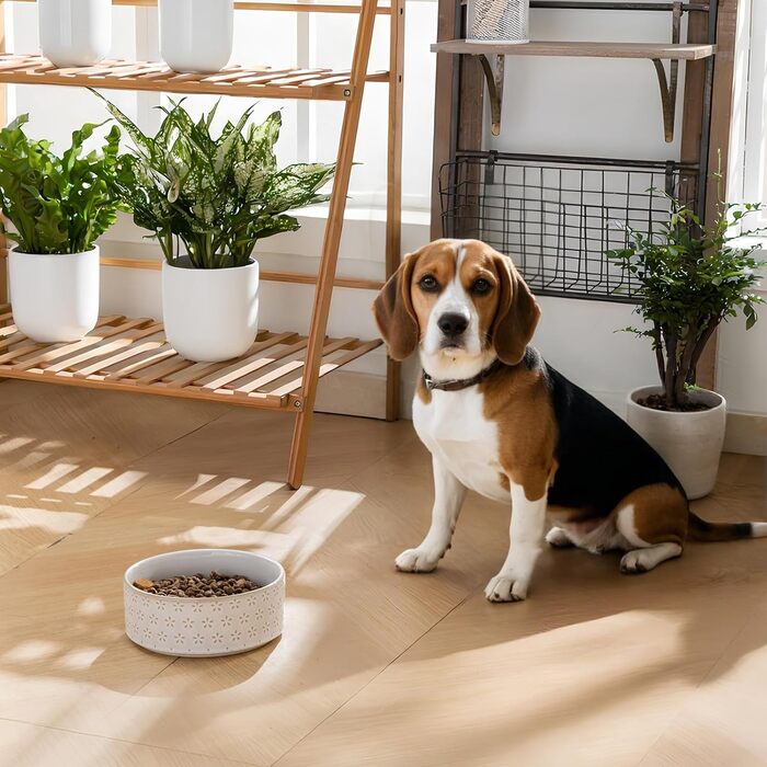 Миска для собак Malacasa з підставкою з горіхового дерева, 450 мл, подвійна миска для собак та котів, для корму та води, неслизька підставка, дизайн у формі п'ятипелюсткового клеверу та соти (1000 мл * 1, п'ятипелюстковий клевер)