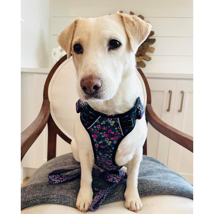 Шлейка для собак Lucky Love Dog No Pull, регульована, легка, чорна та лілова з квітковим візерунком, для малих, середніх і великих собак (M, модель Primrose)