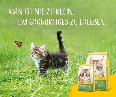 Беззерновий сухий корм для кошенят JOSERA Kitten grainfree, 10 кг (набір з 5 пачок по 2 кг)