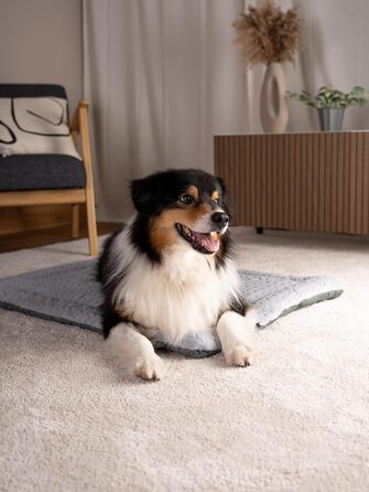 TrendPet Лежанка для собак і котів, двостороння, з підкладкою, сіра (75x55 см)