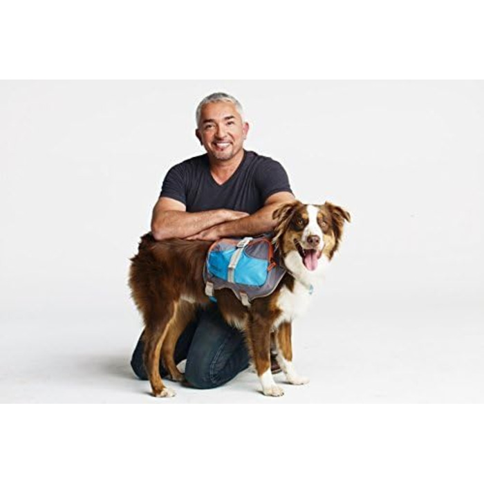 Рюкзак для тварин Cesar Millan Blue & Grey