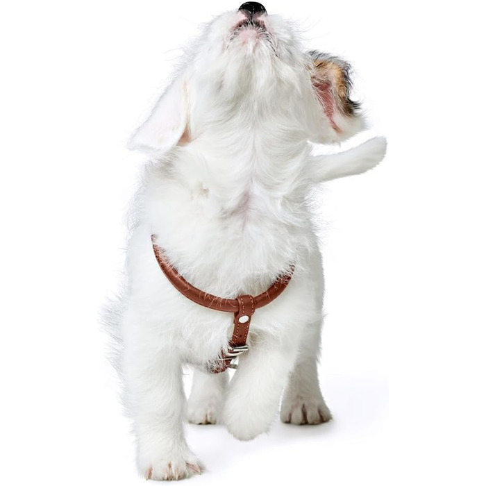 Нашийник для собак HUNTER Round & Soft Canadian UP, колір: Cognac, м'яка, еластична шкіра, оброблений край, не травмує шерсть, екологічний, Made in Germany, розмір: S/1 S/1 Cognac