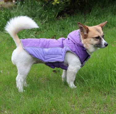 Флісовий худі для собак JoyDaog, теплий одяг для маленьких цуценят, зимовий одяг для собак, зелений, розмір S