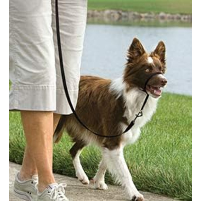 Шлейка для собак PetSafe Easy Walk, середній/великий розмір (чорна, L)