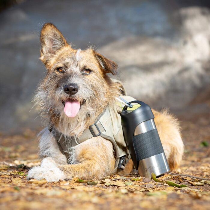Портативна пляшка для води з нержавіючої сталі для собак PetFusion, дорожня миска, срібляста, для годування та напування собак і домашніх тварин