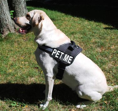 Шлея для собак Pet Me з нейлону, чорна, розмір 12-16 дюймів, із 2 відбивними нашивками, регульована