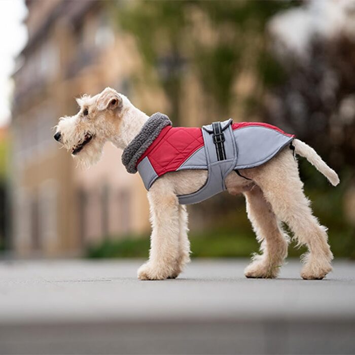 Водонепроникний жилет для собак, теплий, з високим коміром, зелений (L, червоний)