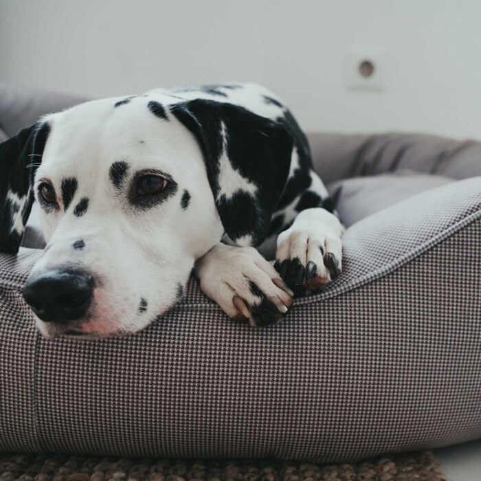 Диванчик для собак HUNTER Lancaster L, сірий, 100 x 70 см