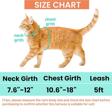 Шлейка та поводок для кота, анти-вислизання, для прогулянок, подорожей, на вулицю, м'який нейлон, регульована, милий комплект шлейки з тримачем Airtag, для кошенят та дорослих котів. Розмір шиї: 19-30 см, груди: 27-46 см, Помаранчевий колір