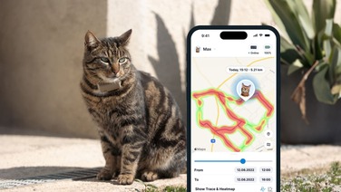 GPS-локатор для котів Tractive CAT Mini з моніторингом здоров'я, коричневий
