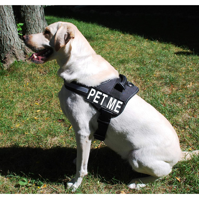 Шлея для собак Pet Me з нейлону, чорна, розмір 12-16 дюймів, із 2 відбивними нашивками, регульована