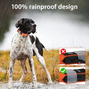 Світлодіодне нашийник для собак Masbri, водонепроникний, з 3 режимами світіння, безпечний, для великих собак (XS, помаранчевий)