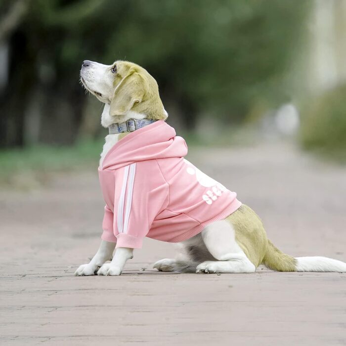 Худі для собак: стильний пуловер-кофта для маленьких, середніх собак, котів, чихуахуа, тедді. Теплий одяг на осінь/зиму, 3XL, рожевий колір