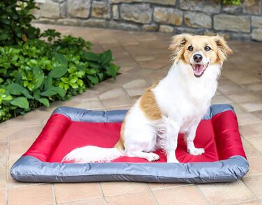 Водонепроникний килимок для собак та котів Sogni e Capricci, поліестер, 55x38 см, червоний