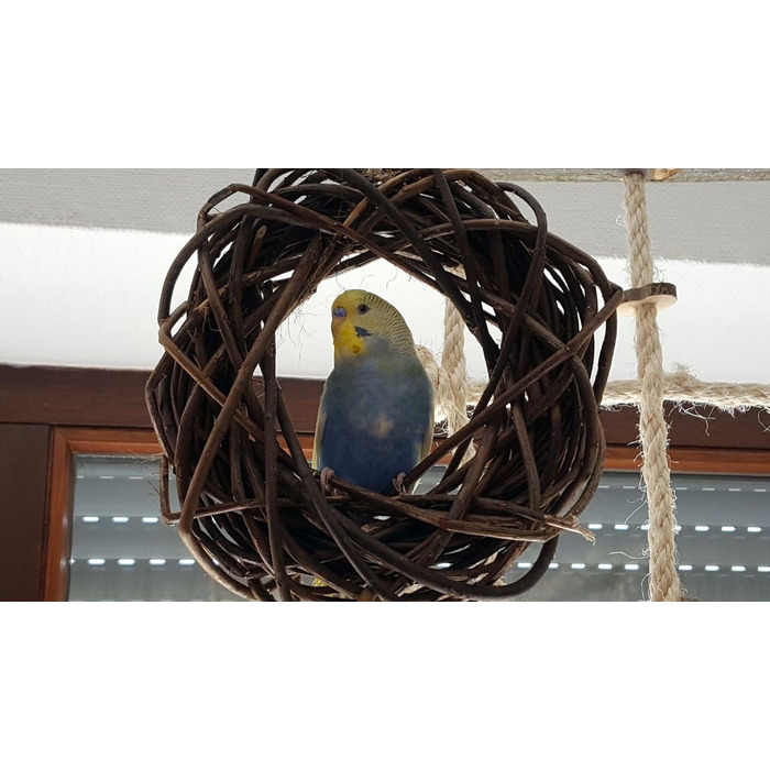 Дерев'яний іграшковий кілечко з лози для птахів (волинки, корели та ін.); Vogelgaleria®