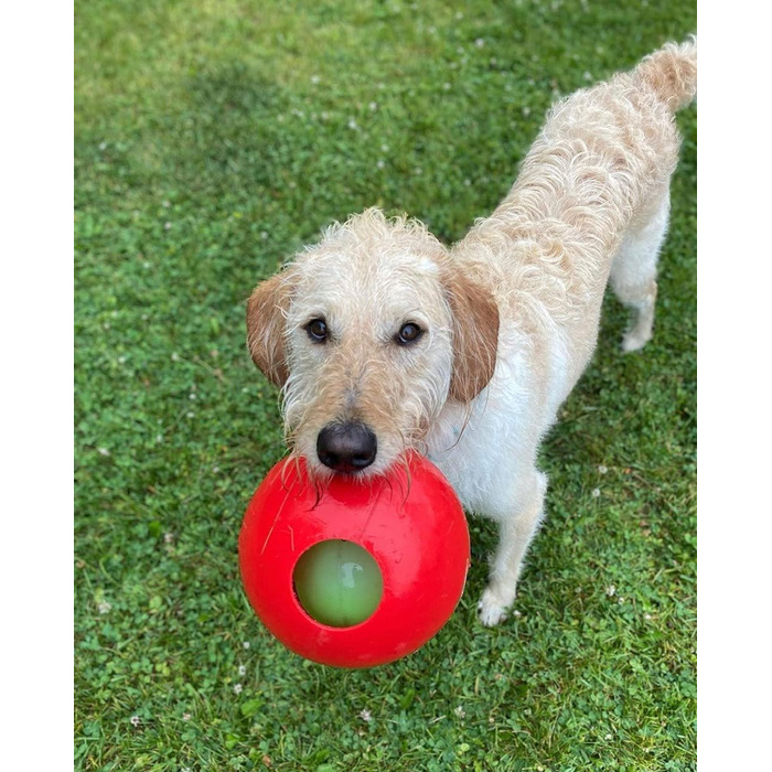 Іграшка для собак Jolly Pets Teaser Ball, 15 см, червона