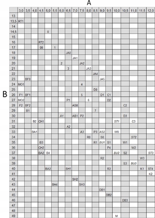 Шкіряний намордник для собаки Champion, вівчарка німецька, W3 38/11,5 см