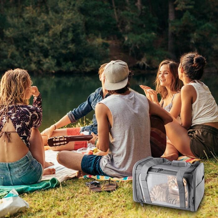 Транспортна сумка для кота/собаки WANDGU: складана, дихаюча, до 7 кг, з повідком та плечовим ременем