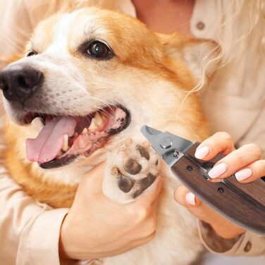 Ножиці для догляду за тваринами Happyyami: безпечні ножиці для котів та собак, ергономічний дизайн