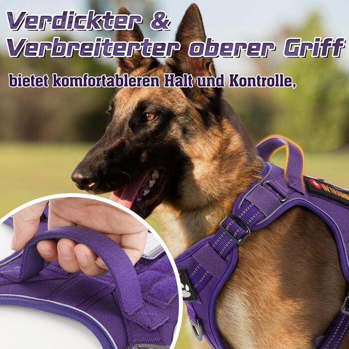 Нагрудник для собак Rabbitgoo середнього розміру, анти-тяга, регульований з ручкою, міцний, тактичний, з металевими пряжками для прогулянок (M, фіолетовий)