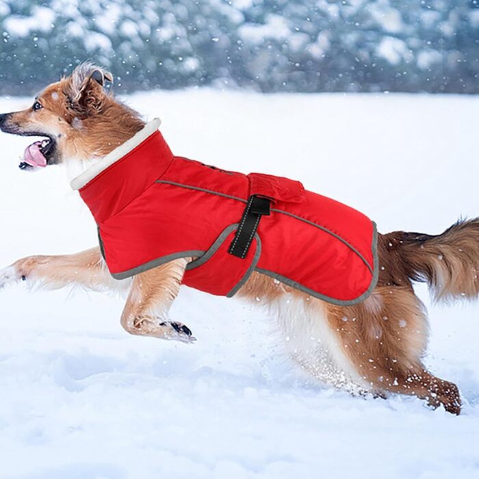 Теплий зимовий одяг для собак: утеплений, для малих та середніх порід, універсальний розмір F