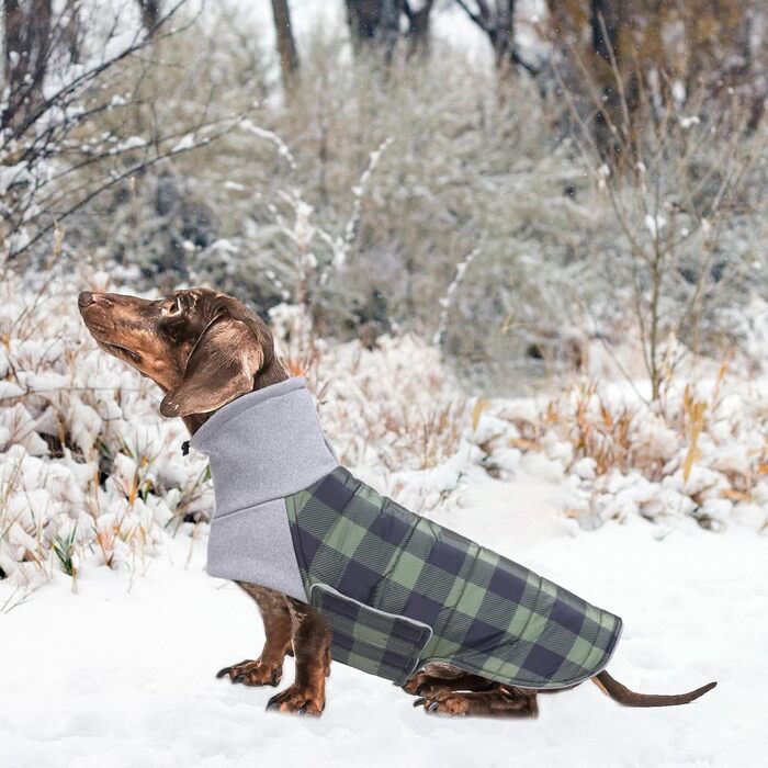 Зимовий теплий нашийник для собак Dachshund (Такса) від Geyecete, водонепроникний, з отвором для повідка, теплий пуловер для маленьких собак, червоно-зелений в клітинку (XS)