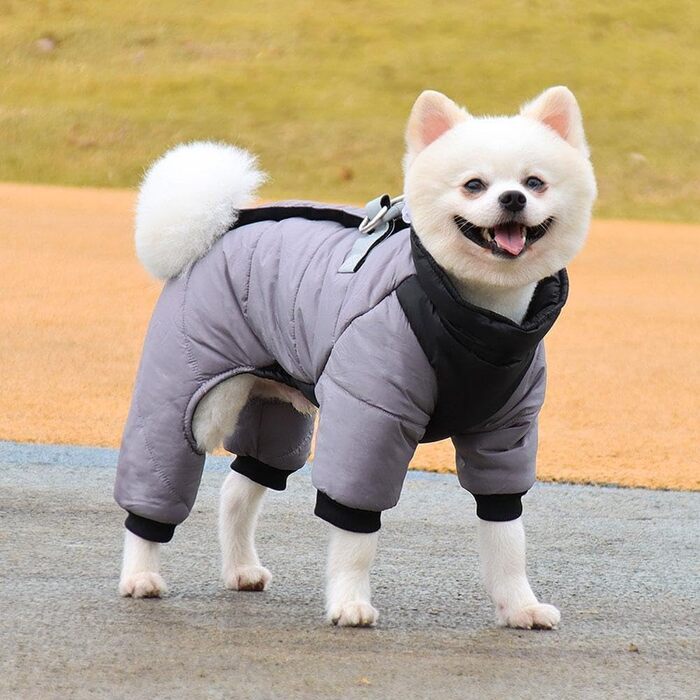 Теплий зимовий одяг для собак - теплий зимовий плащ, бавовна, для собак