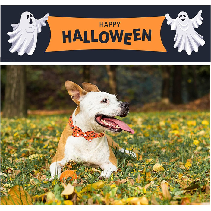 Нашийник для собак Unique Style Paws з метеликом, регульований, для середніх собак (L, 1 шт.), для святкування Хелловіну