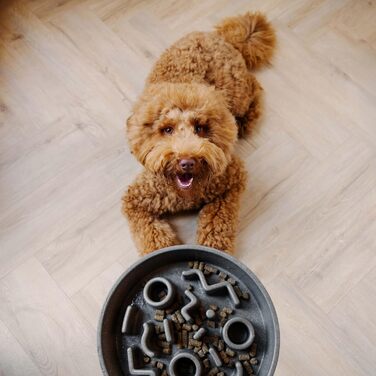 Повільний годівник для собак District 70 Bamboo - діаметр 28 см, сірий