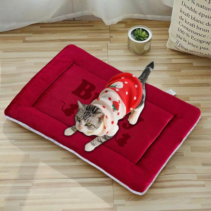 Персоналізована килимок для собак, індивідуальне собаче ліжко для вольєру, миється, килимок для сну домашніх тварин, подарунок для любителів собак і котів (69x52 см, Червоний)