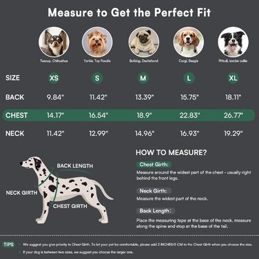 Светр для собак Queenore: в'язаний водолазка для джек-расселів, коргі, бульдогів (XS, зелений)