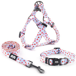 QQPETS шлейка для собак, нашийник і повідець 1,5 м, анти-заплутування, не тягне, регульований спинний кріплення, для цуценят, середніх і великих порід, міцний
