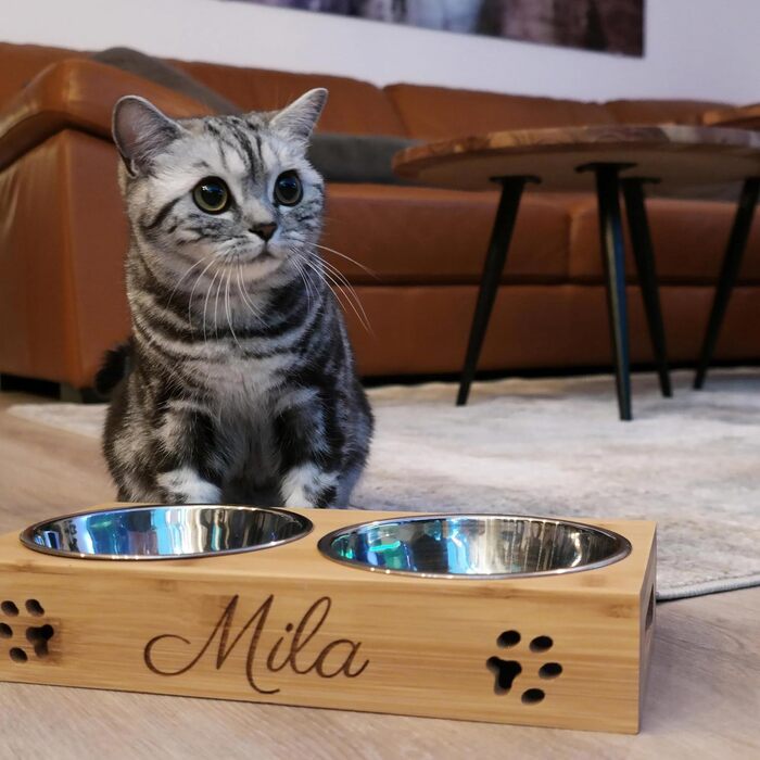 Кормушка для котів LAUBLUST з іменним гравіюванням - Натуральне дерево | 31x15x6 см - 2 миски з нержавіючої сталі (0,35л кожна) | Підвищена годівниця для котів | Сріблясті миски для котів