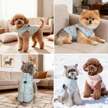 Теплий зимовий одяг для собак: куртка для маленьких собак, вітронепроникний жилет з отвором для шлейки, водонепроникний, для чихуахуа, такси, сірий, блакитний, XXS