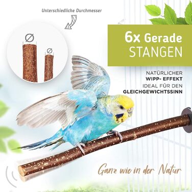 Набір дерев'яних сідал Vogelgaleria 10 шт. для птахів з безкоштовною гойдалкою та 3 Y-подібними сідалами для хвилястих папуг, корел та інших