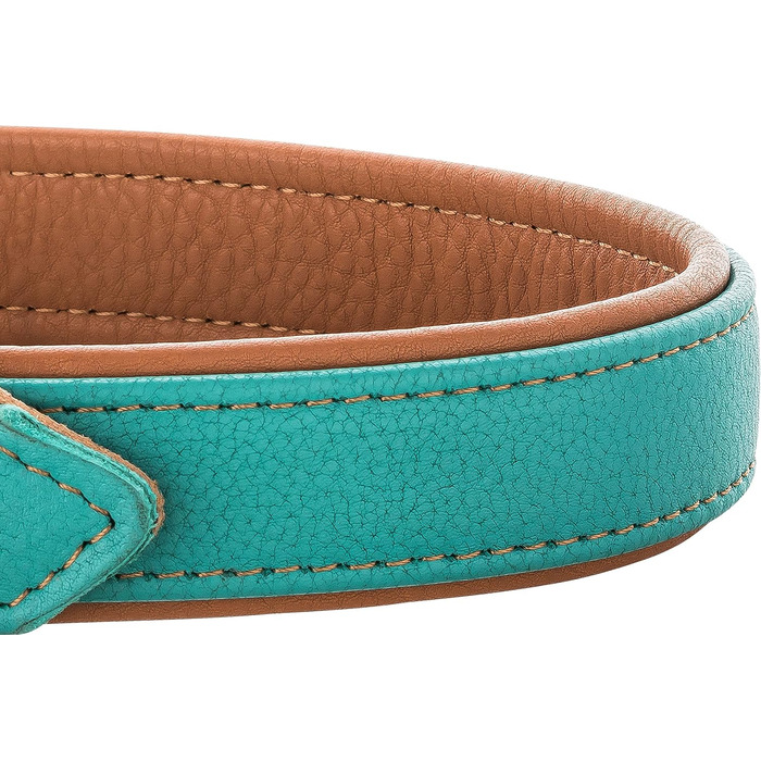 Шкіряне нашийник для собак Fun Line - великий, середній та маленький розмір - м'який та міцний (M, 28-36 см, Турквіз-Коричневий)