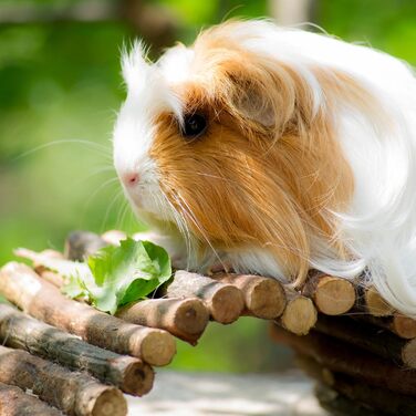 Міст для кроликів та морських свинок Relaxdays Nagerbrücke Holz, 40 x 65 см, дерев'яний, гнучкий, аксесуар для клітки