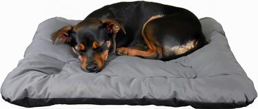 Гіркий корзинка для собак Kistenkolli Altes Land Winston XL з дерева 100x60x25 см з подушкою (сіра)