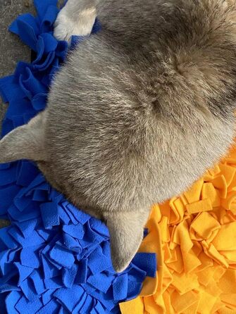 Міцна шнуркова килимок для собак великих порід, Max Stitch Design, 45 x 60 см, блакитний та жовтий кольори