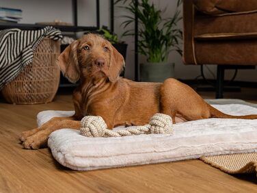 TrendPet Harmony: м'яка підстилка для собак та котів, 50x35 см, кремового кольору